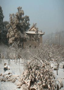 八年级上册人教版语文课件       湖心亭看雪