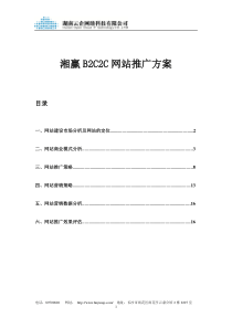 湘赢B2C2C网站推广方案
