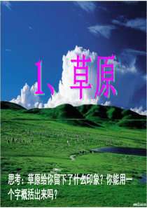 88《草原》PPT课件