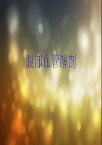 腹部血管解剖