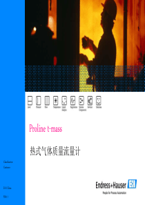 热式气体质量流量计