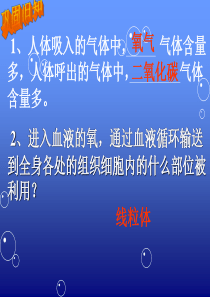 第三节 空气质量与健康 人教版 2012年