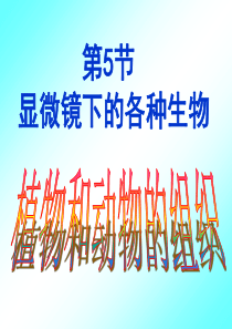 科学课件2.5.2上课用