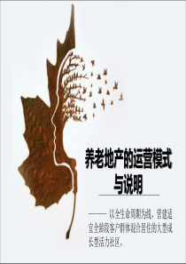 养老地产运营模式与说明