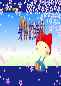 科学课件《身体的结构》