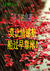 初二预防早恋主题班会