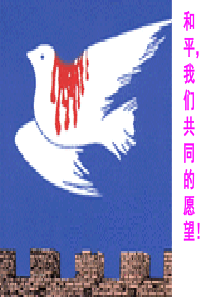 和平,我们共同的愿望1