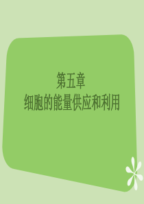 中外企业文化