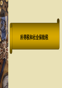 所得税和社会保险税