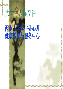 27大学生人际交往ppt