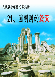 圆明园的毁灭公开课一等奖