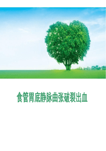 食管胃底静脉曲张