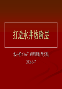水井坊白酒年度品牌策划