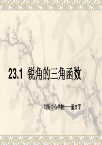 沪科版数学九年级23.1锐角三角函数(1)