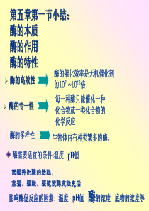 2012《分子与细胞》一轮复习―10ATP