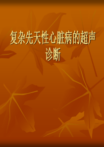 复杂先心超声诊断讲义
