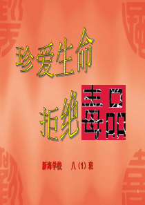 八(1)班会(禁毒专题)