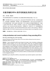 长链非编码RNA的作用机制及其研究方法