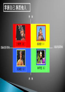 DISC性格测试及分析