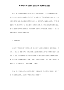 海王哈六药与脑白金的品牌传播策略分析doc10(1)