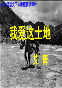 2013年最新初中精品语文教学课件：九年级语文下册《诗两首_我爱这土地_乡愁》优秀课件(63页)_人