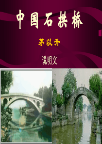 《中国石拱桥》课件