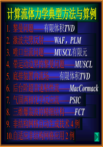 计算流体力学 典型算例