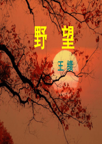 部编人教版新教材八年级语文上册12课唐诗五首