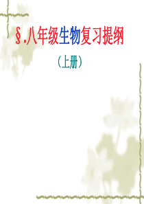 八上生物复习提纲