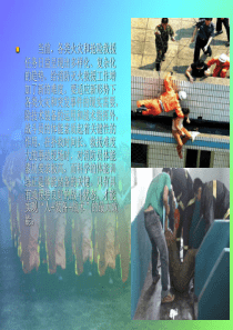体能训练课件PPT