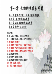 八下 1 生物的生殖和发育