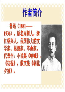 2017版《阿长与山海经》ppt课件
