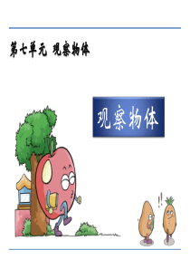 2017年二年级数学上册 从前后左右观察物体课件