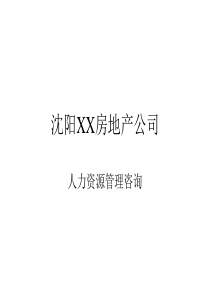 沈阳xxx房地产公司企划