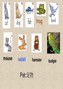 join in三年级下册英语复习资料animal+clothes+feeling