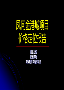 凤冈金港城项目价格定位报告