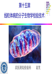 肿瘤的分子生物学检验技术