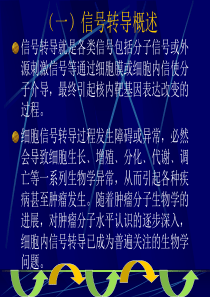 肿瘤相关信号转导通路