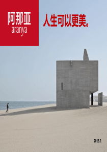 2016年广西北海阿那亚度假项目推广方案46页