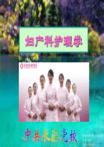 妇产科护理学