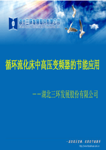 循环流化床中高压变频器的技能应用