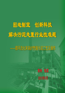 循环流化床锅炉焚烧污泥工艺及操作