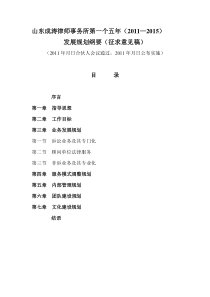 律师事务所第一个五年发展规划纲要