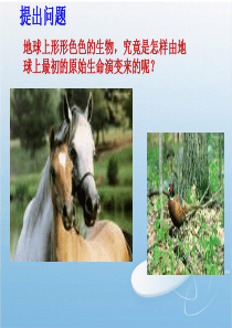 八年级生物ppt课件--生物的起源与进化ppt课件