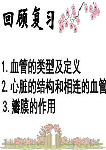 《物质运输的途径》课件 济南版