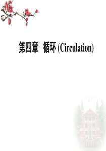 循环系统