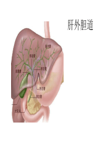 汉语姓名大全