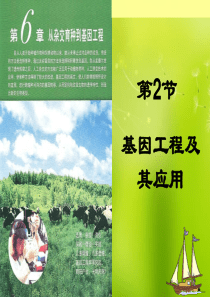 高中生物《第六章 第二节 基因工程及其应用》课件 新人教版必修2