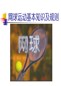 网球运动基本知识及规则ppt课件