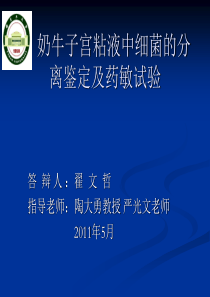 翟文哲PPT